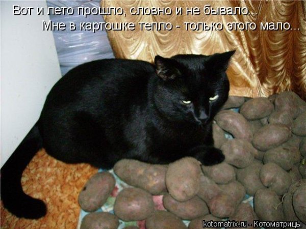 Лето закончилось