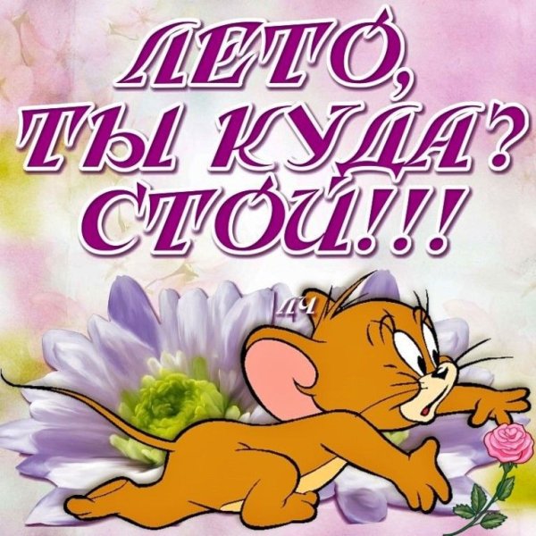 Куда уходит лето