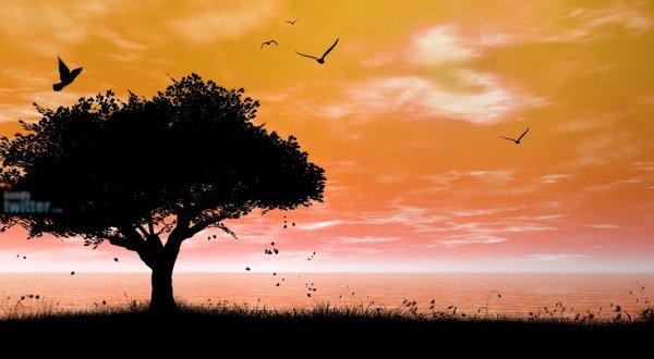 Доброй ночи на фоне природы