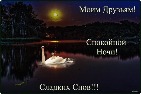 Спокойной ночи друзья