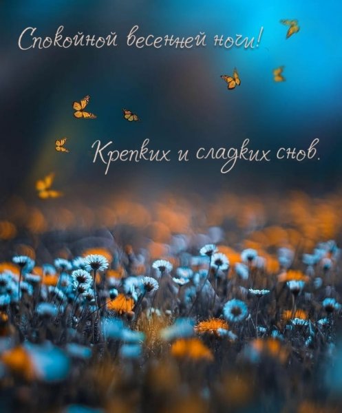 Спокойной ночи сладких снов природа