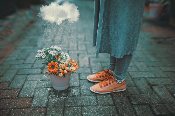 Если утро не доброе удобряйте