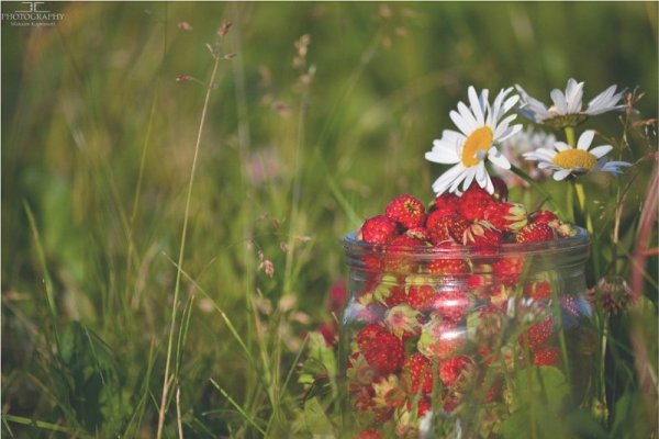 Август прощание с летом