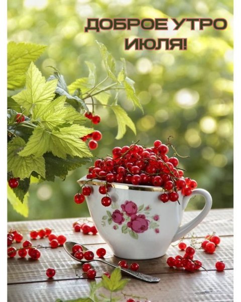 Открытка где лето