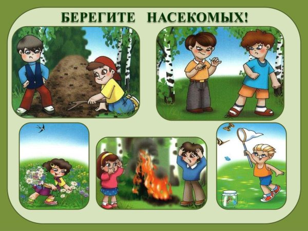 Консультации берегите насекомых