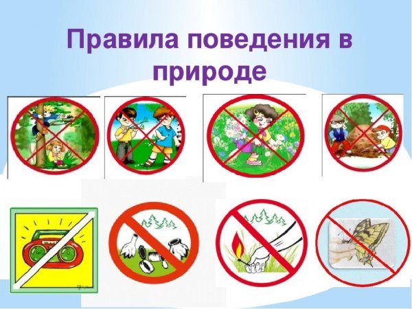 Правила поведения на природе