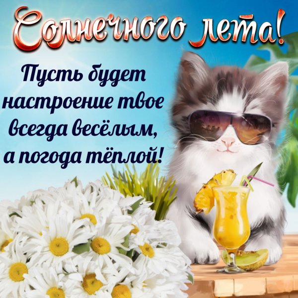 С первым днем лета котики