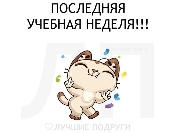 Активные выходные