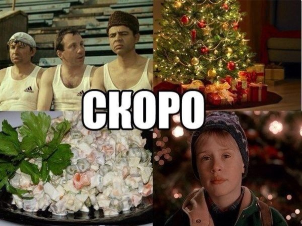 Презентация окончена