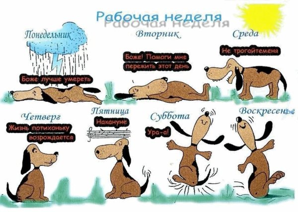 Завтра пятница прикольные