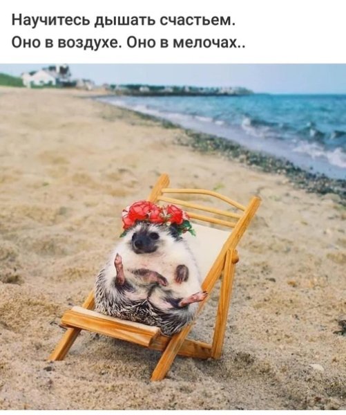 Доброе утро пятницы