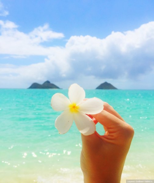 Красивая ава на ватсап