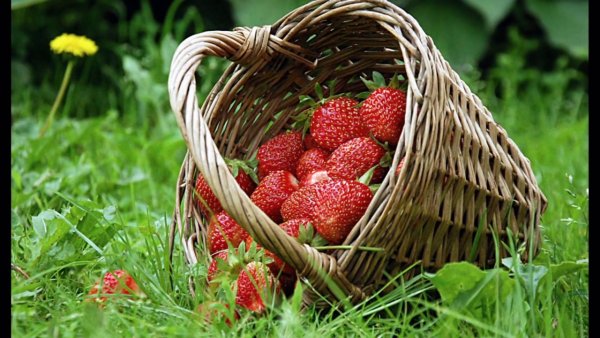 Ассоциации с летом