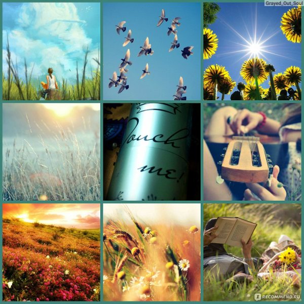 Летний коллаж из фотографий