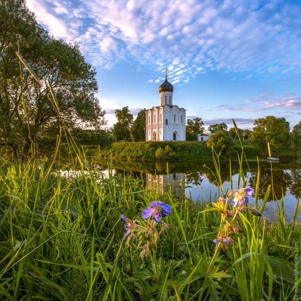 Храм Покрова на Нерли. Лето