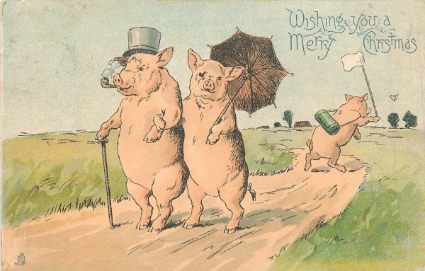 Свинья на берегу