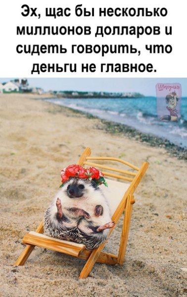 Муж с женой едут в машине и ссорятся