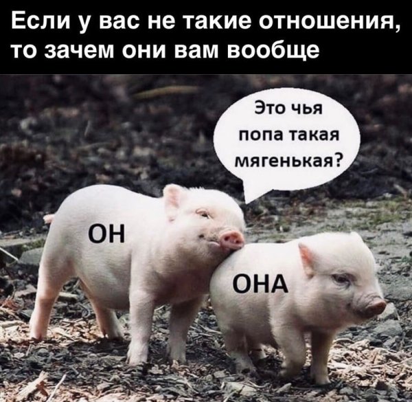 Доброе утро субботы прикольные