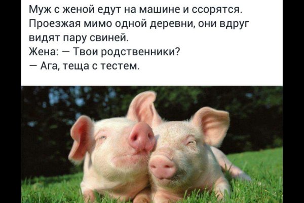 Анекдоты про отпуск смешные