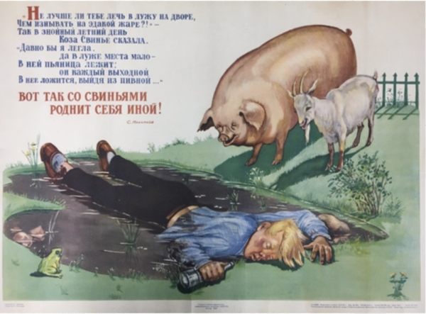 Даже свиньи проводят лето лучше чем я