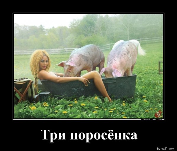 Афоризмы про лето прикольные и смешные