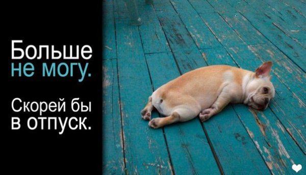 Бисер перед свиньями