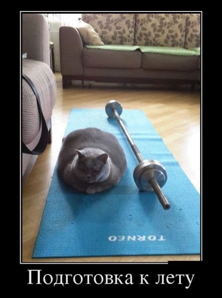 Готовлюсь к лету прикол