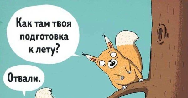 Как там твоя диета картинка