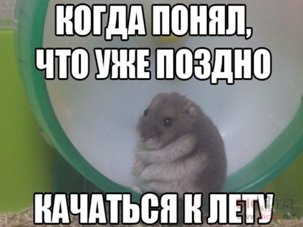 Миниатюра Ассоль дождалась свои Алые паруса