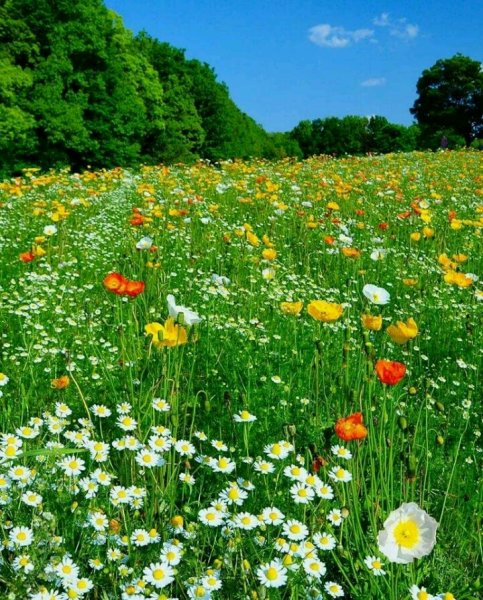 Море солнце пляж