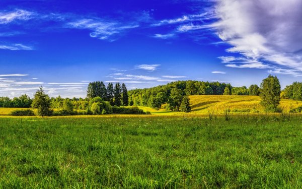 Лето природа горизонтальные