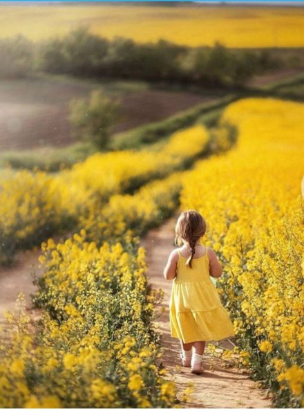 Фотосессия в рапсовом поле