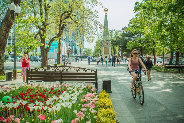 Краснодар достопримечательности лето