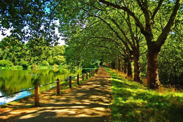 Красивые картинки лета в городе