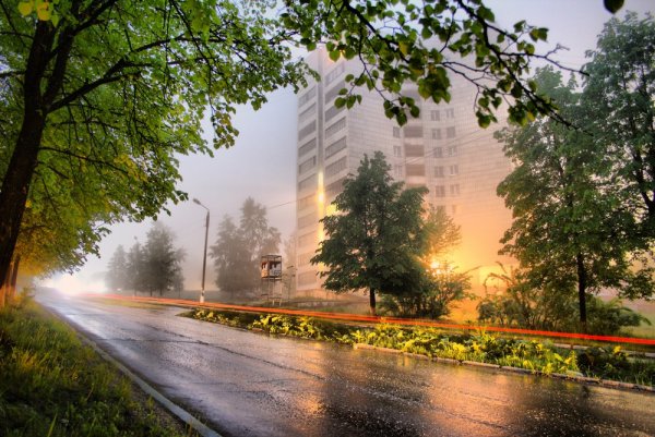 Летний пейзаж в городе