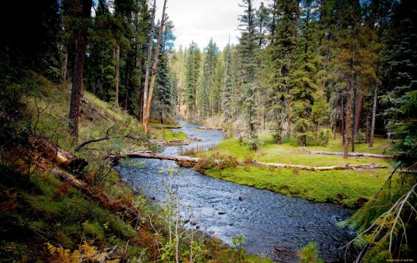 Река Иодзыхе Тайга