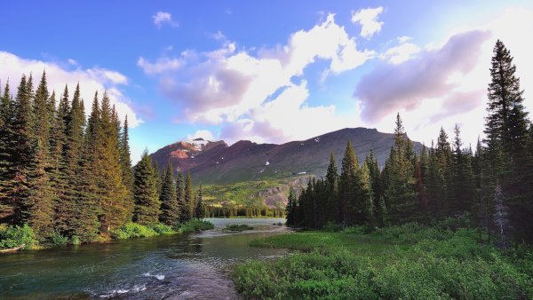 Горы лес река