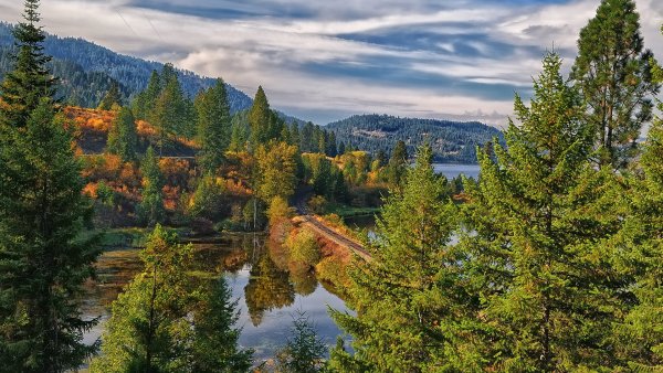 Лето горы река Тайга Сибирь