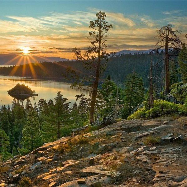 Восточно Сибирская Тайга