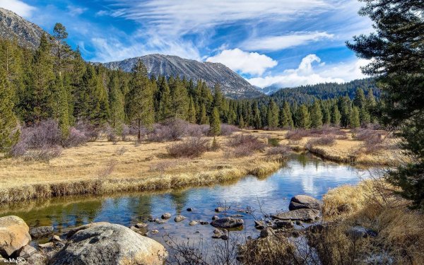 Природа Тайга Сибирь