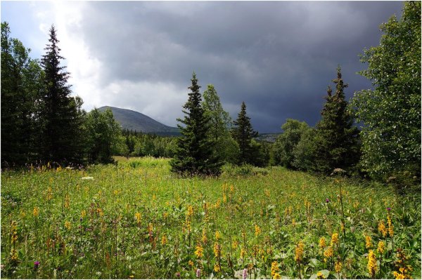 Урал река Усьва. Усьвинские столбы