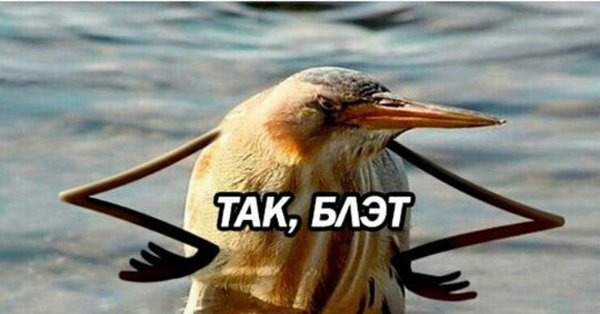 Быстрее бы лето