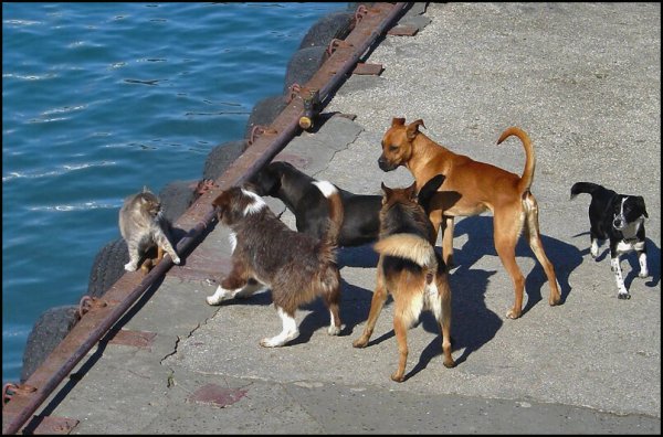 Светлана Суханова горячие