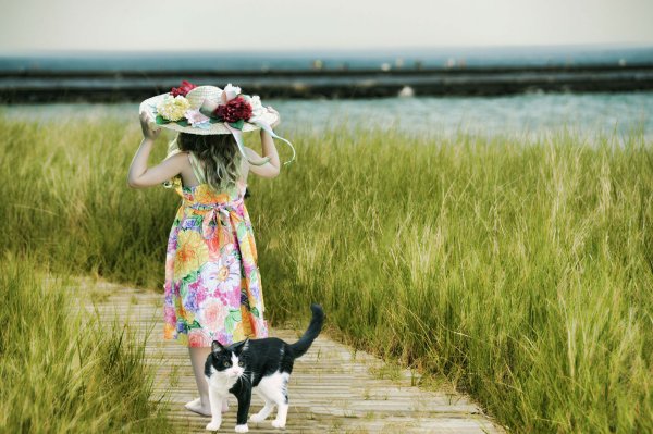 Релакс и позитив