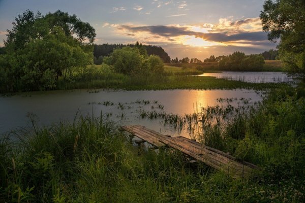 Лето река деревня