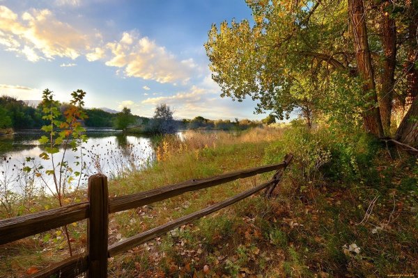 Село природа река лес деревня