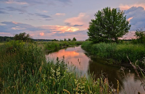 Лето в деревне на речке