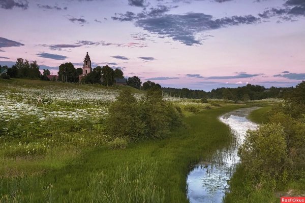 Лесное озеро село поселок