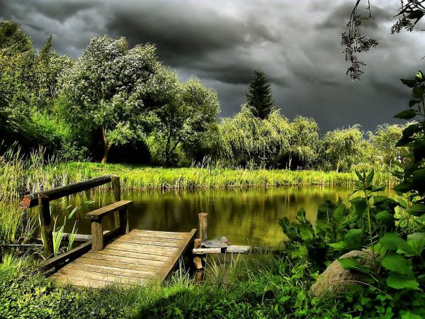 Деревенский домик на берегу реки