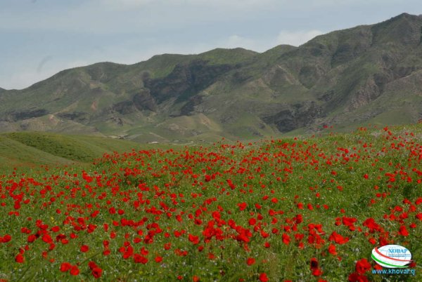 Таджикистан НОВОБАД гора